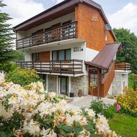 Willa Rosa-Apartamenty Z Prywatna Sauna Szklarska Poreba Dış mekan fotoğraf