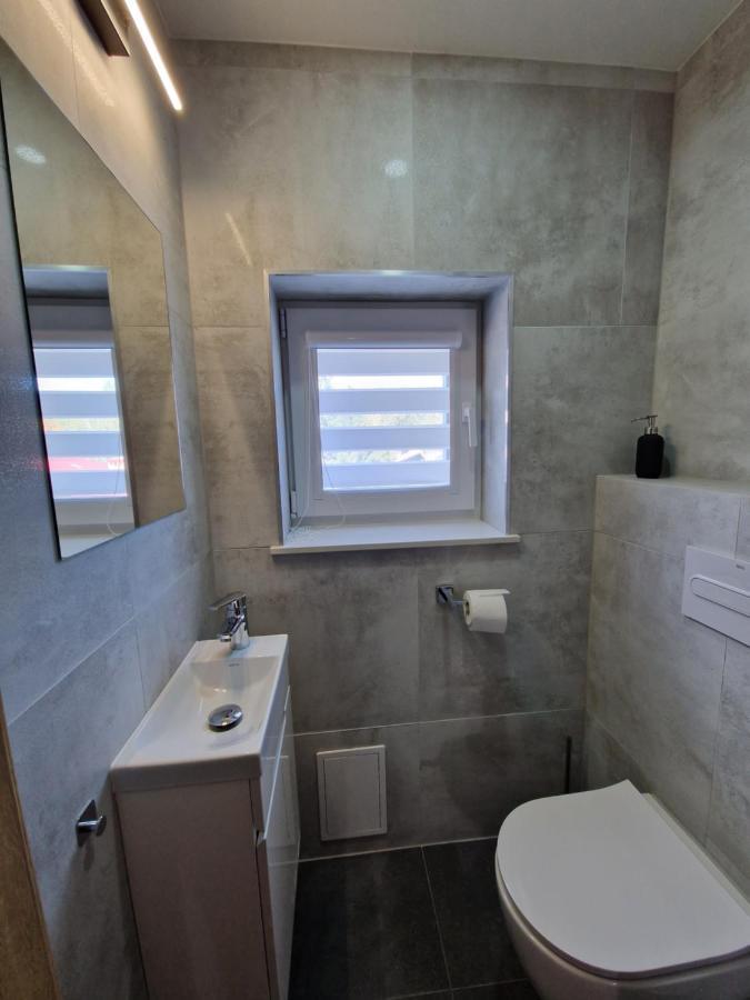 Willa Rosa-Apartamenty Z Prywatna Sauna Szklarska Poreba Dış mekan fotoğraf